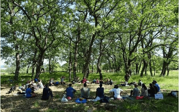 ¿Dónde nos quedó el amor?  Del paraíso… a las cloacas | Por Alumnos de la Escuela Aquí y Ahora 2025