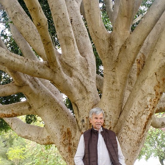 “El alcoholismo en la mujer. Un camino de ida y vuelta”: la obra que da voz y esperanza a las mujeres que luchan contra esta adicción.