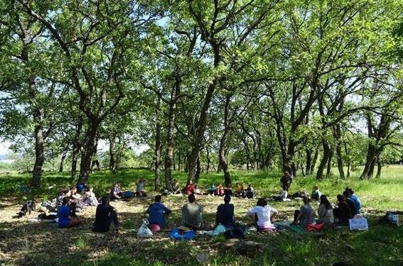 Lo importante colocárselo a alguien…  | Por Itziar Torrecilla Gorbea y José Carlos Alvero Reina.  