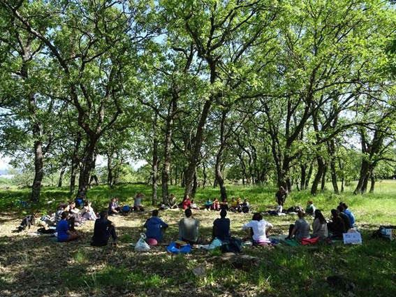 Lo importante colocárselo a alguien…  | Por Itziar Torrecilla Gorbea y José Carlos Alvero Reina.  