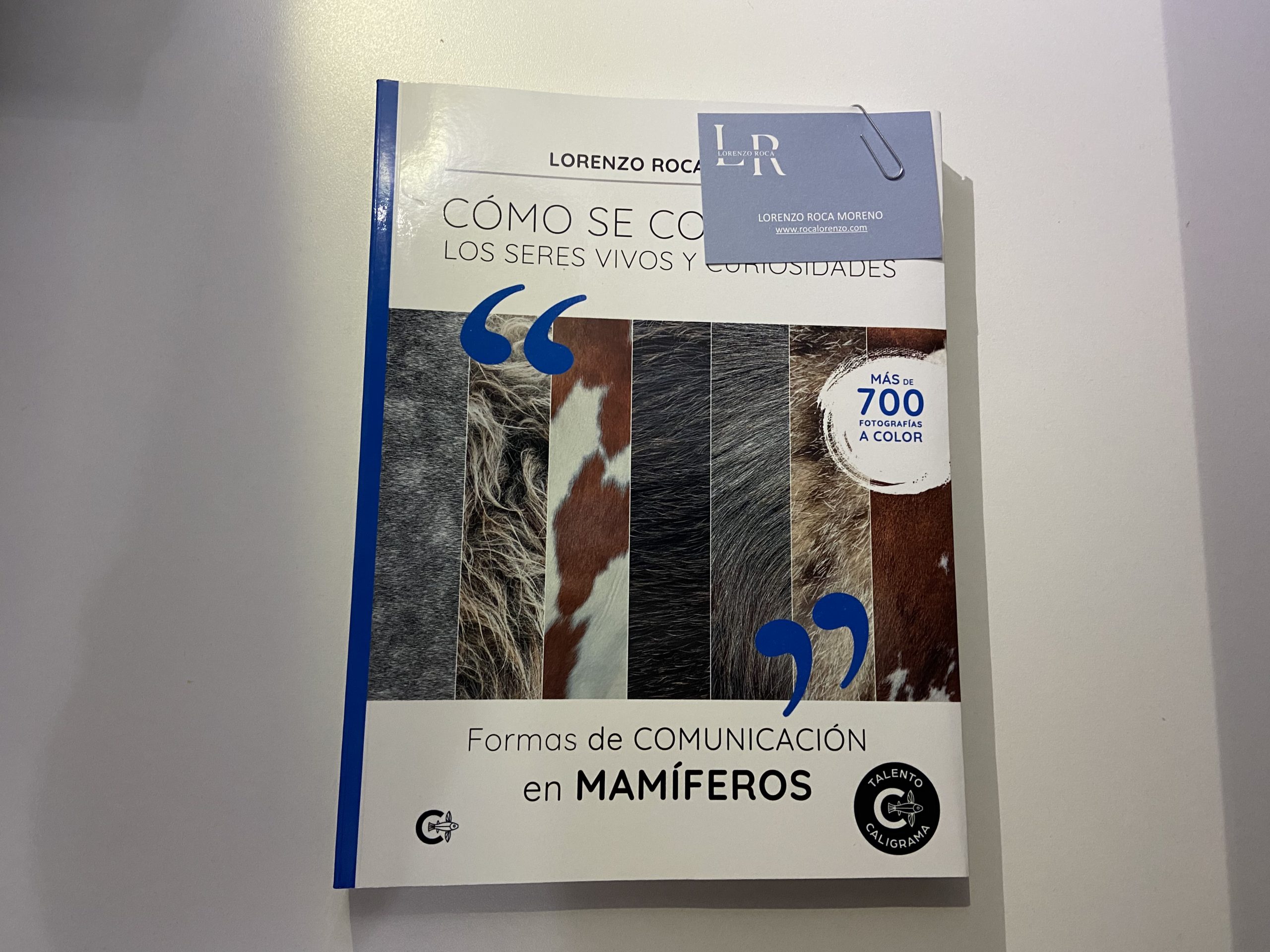 Reseña de “Formas de comunicación en Mamíferos”, de Lorenzo Roca Moreno | Por Daniela González