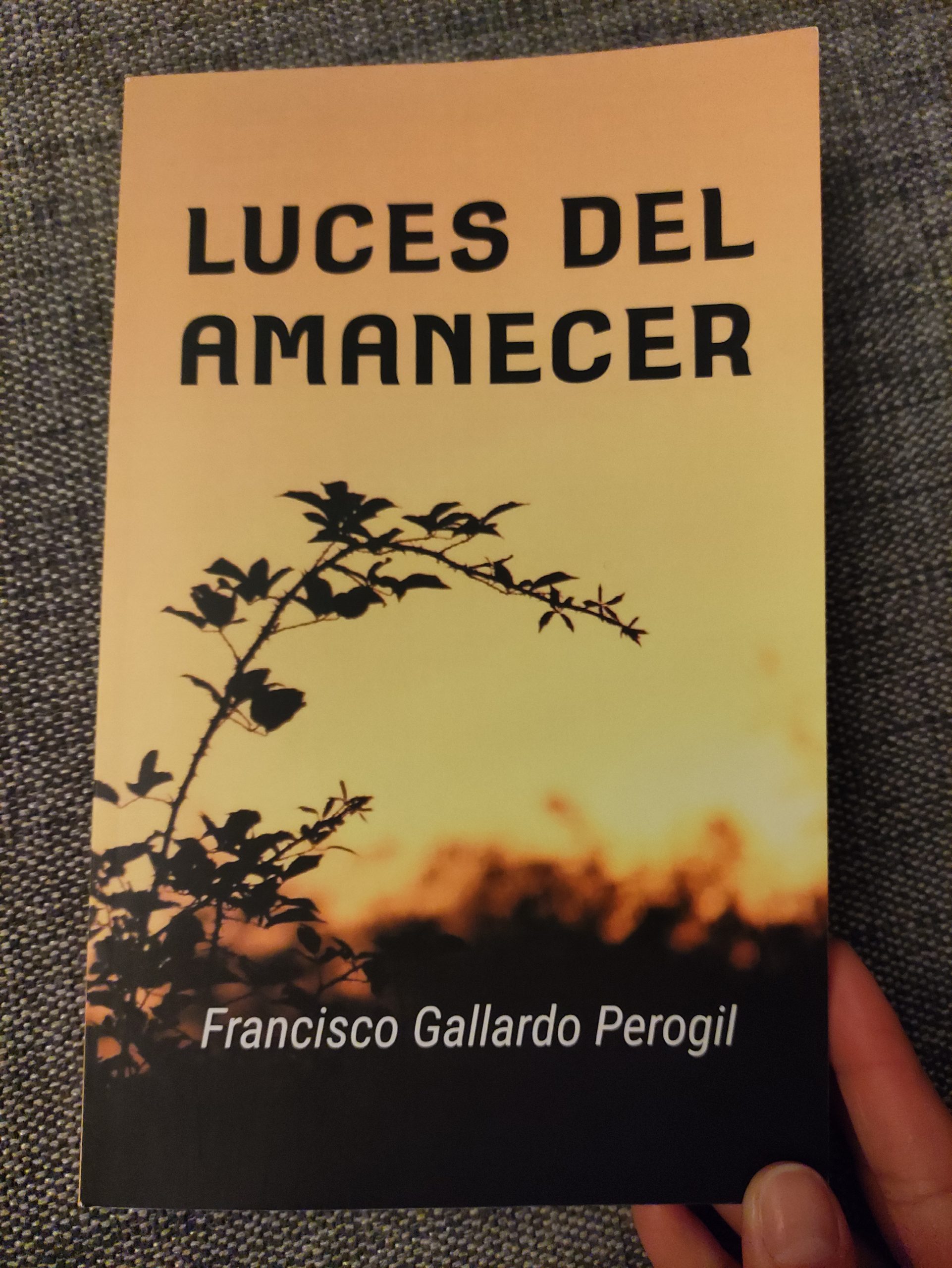 Reseña de «Luces del amanecer» de Francisco Gallardo Perogil | Por Elena Ruiz