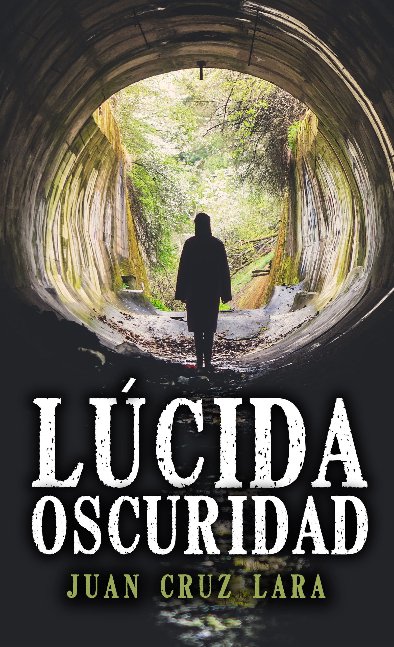 «Lúcida oscuridad», nueva novela de Juan Cruz Lara