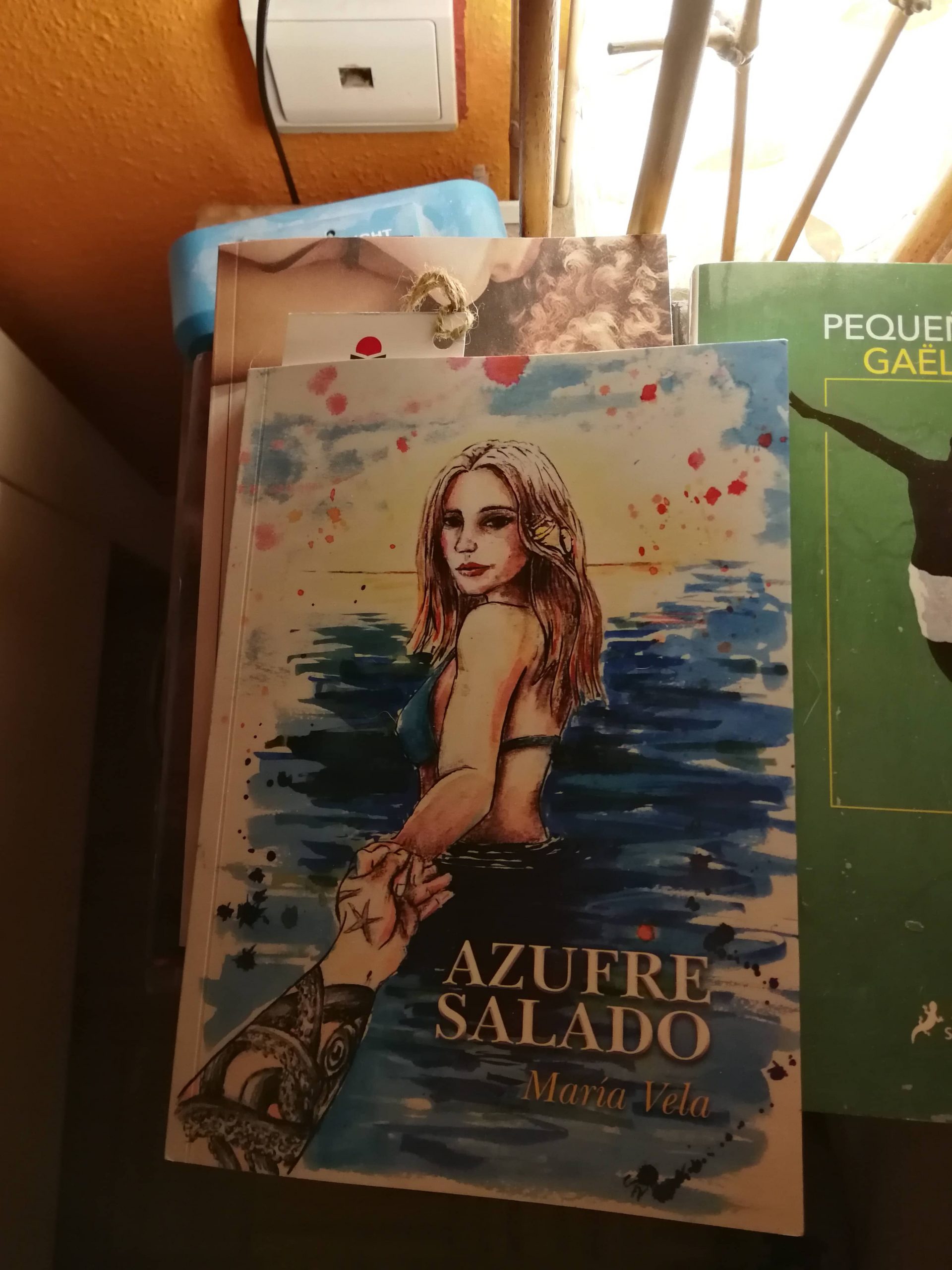 Reseña de «Azufre salado», de María Vela | Por Laura Castro