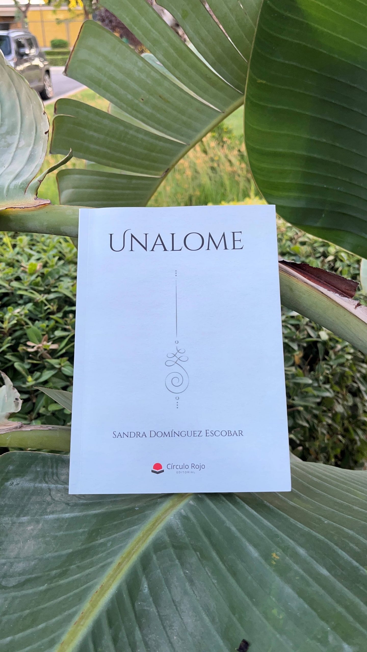 Reseña de «Unalome», de Sandra Domínguez Escobar | Por Daniela González